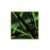 YG Entertainment Idol Goods Fan Products YG Select iKON 3rd Mini Album [i Decide] (Green)