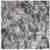 Blackpink Rose -R- 1st Solo Single Album CD+98p PhotoBook+Lyrics Paer+Sticker+4p Postcard+2p Polaroid+Message PhotoCard Set+Tracking Kpop Sealed