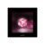 YG Entertainment Idol Goods Fan Products YG Select BLACKPINK SQUARE UP 1st Mini Album Black Ver.