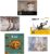KDrama It’s Okay to Not Be Okay Moon Young’s Fairytale Book Series (5 Books Set)