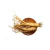 KOREA GINSENG